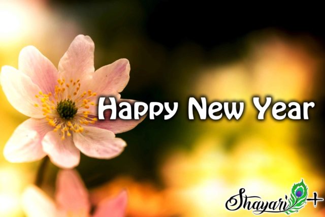 You are currently viewing हैप्पी न्यू ईयर मैसेज इन हिंदी Happy new year message in hindi