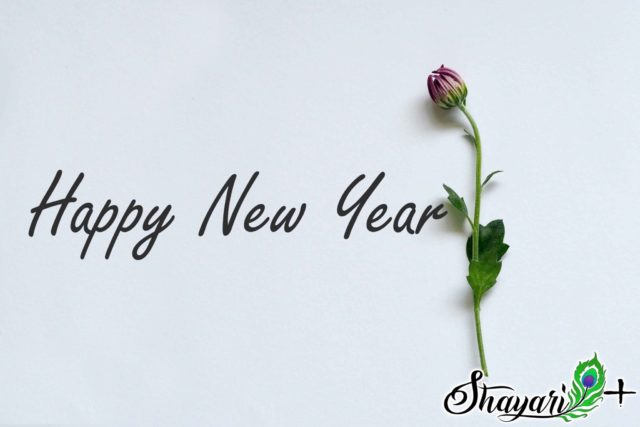 Read more about the article new year 2020 shayari in hindi image