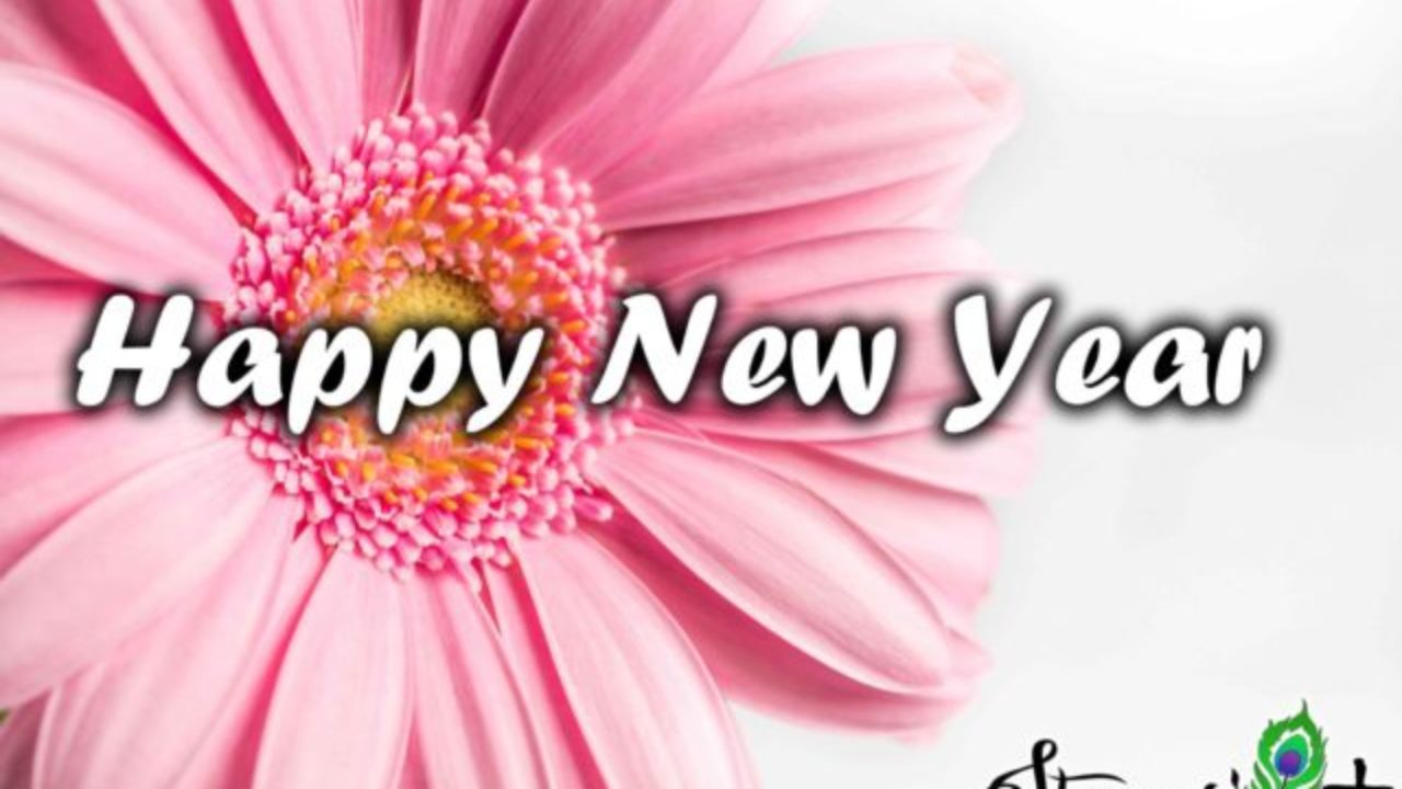 new year shayari for lover in hindi and english - Shayari Plus