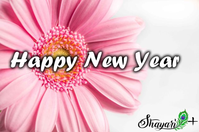 You are currently viewing new year shayari for lover in hindi and english