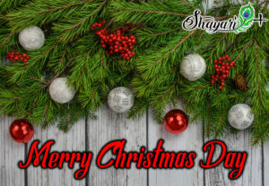Read more about the article happy merry christmas day 2019 par shayari wishes sms in hindi and english.