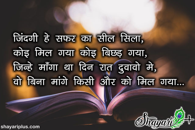99 Best Love Shayari in English With Images 2023