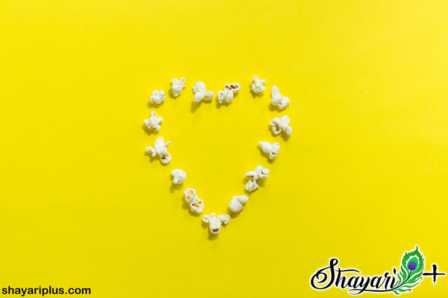 Read more about the article love shayari photo download in hindi and english