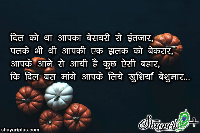 shayri in hindi