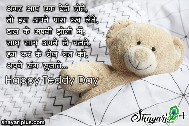 You are currently viewing teddy day hindi shayari टेडी डे शायरी हिंदी में फोटो के साथ