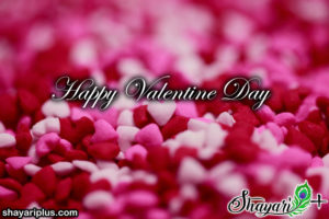 Read more about the article valentine day hindi shayari वैलेंटाइन डे शायरी हिंदी में फोटो