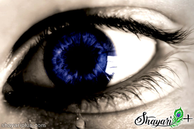 You are currently viewing i miss you shayari in hindi and english with images