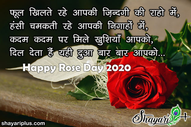 rose day shayari in hindi for boyfriend