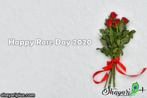 Read more about the article rose day par shayari hindi me  रोज डे पर शायरी हिंदी में