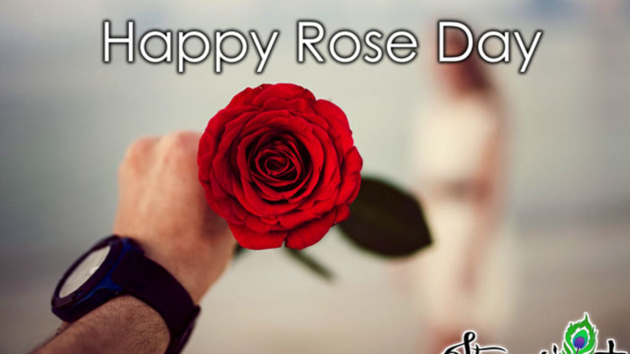 rose day special shayari in hindi रोज डे स्पेशल ...