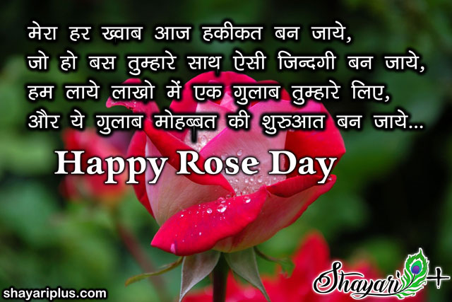 shayari on rose flower in hindi