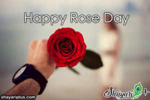 Read more about the article rose day special shayari in hindi रोज डे स्पेशल शायरी हिंदी में