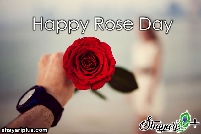 You are currently viewing rose day special shayari in hindi रोज डे स्पेशल शायरी हिंदी में