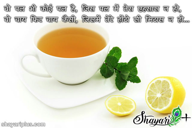 shayari on chai