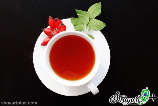 You are currently viewing chai par shayari in hindi गरम चाय पर शायरी हिंदी में
