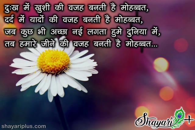 romantic shayari for lover in hindi