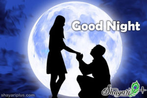 Read more about the article good night image shayari download in hindi and english