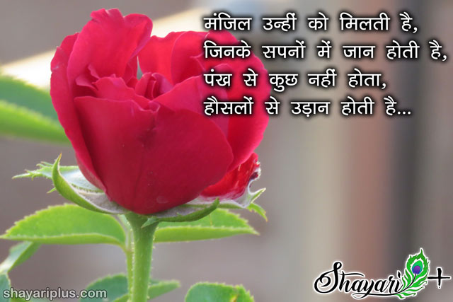 shero shayari love hindi