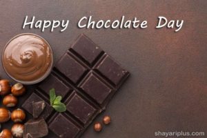 Read more about the article chocolate day shayari in hindi and english with images