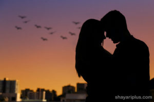Read more about the article love shayari image status in hindi and english लव शायरी