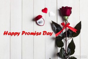 Read more about the article promise day shayari status in hindi and english with images