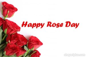 Read more about the article rose day shayari status in hindi and english with images