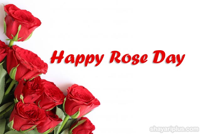 You are currently viewing rose day shayari status in hindi and english with images