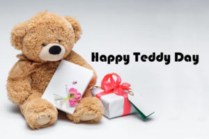 Read more about the article teddy day shayari status in hindi and english with images