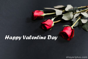 Read more about the article valentine day hindi shayari status with images वैलेंटाइन डे