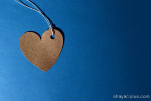 Read more about the article shayari pyar bhari in hindi and english with images प्यार भरी