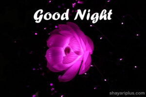 Read more about the article good night shayari status image in hindi गुड नाईट शायरी