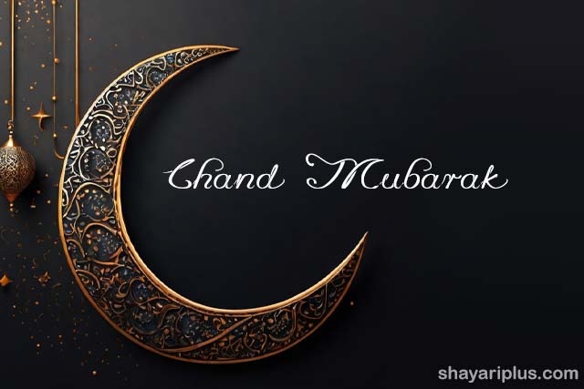 You are currently viewing chand mubarak shayari in hindi and english